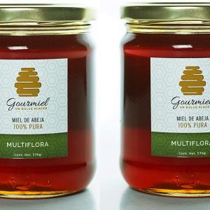 Miel de abeja multiflora de guerrero (2 piezas de 570 gr)